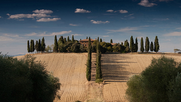 学习管理系统的网络电话在线发送